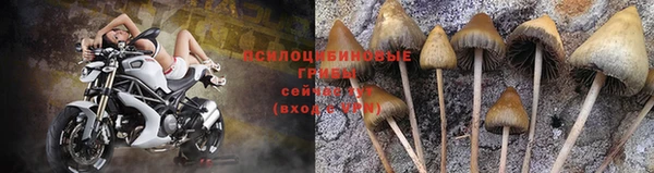 гашик Балахна