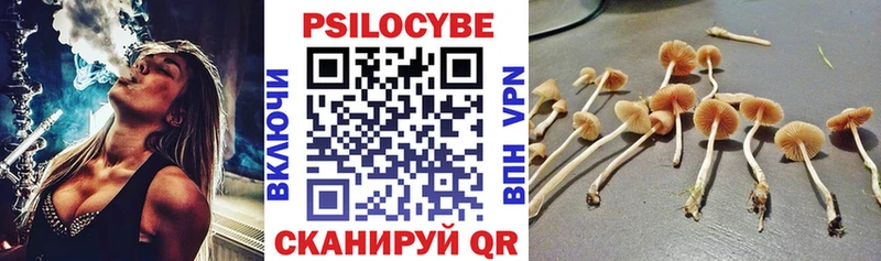 Псилоцибиновые грибы ЛСД Таштагол